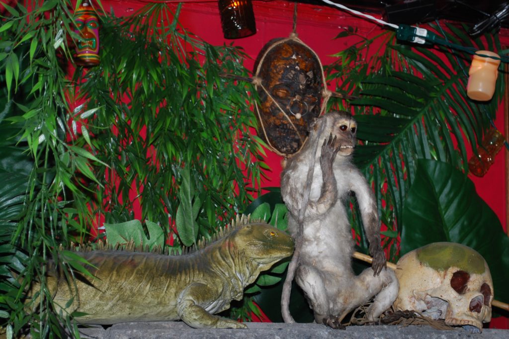 Stuffed monkey and lizard at Monkey Skull Voodoo Lounge