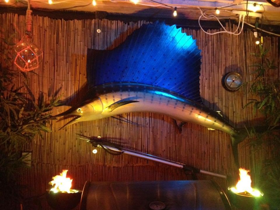 Sailfish at the Harpoon Saloon photo by John