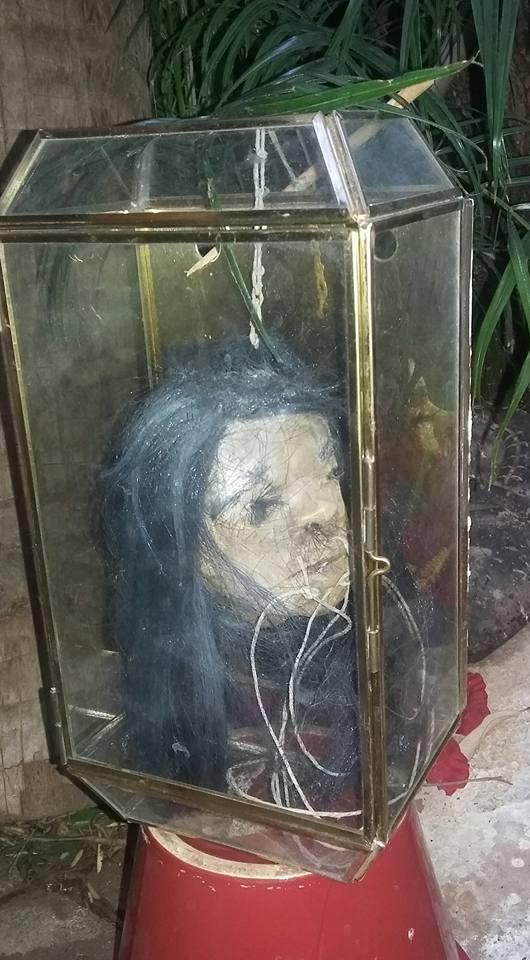 Shrunken head at The Exotica