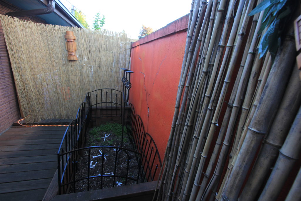 Graveyard outside of Doctor Voodoo's Tiki Temple