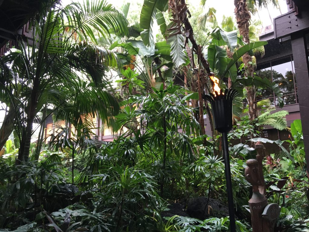 Palm trees at Disney's Polynesian Resort