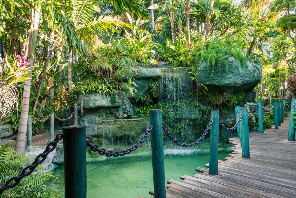 Tropical Garden at The Mai Kai