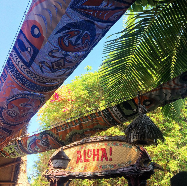 Enchanted Tiki Room Disneyland