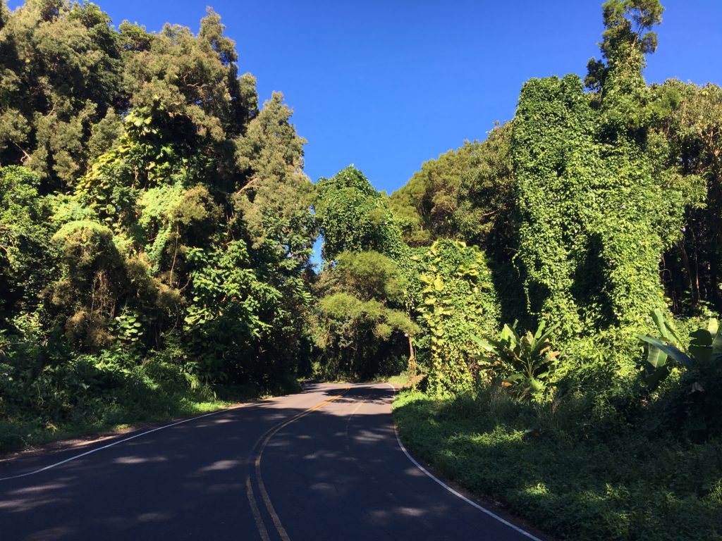 Road To Hana Maui