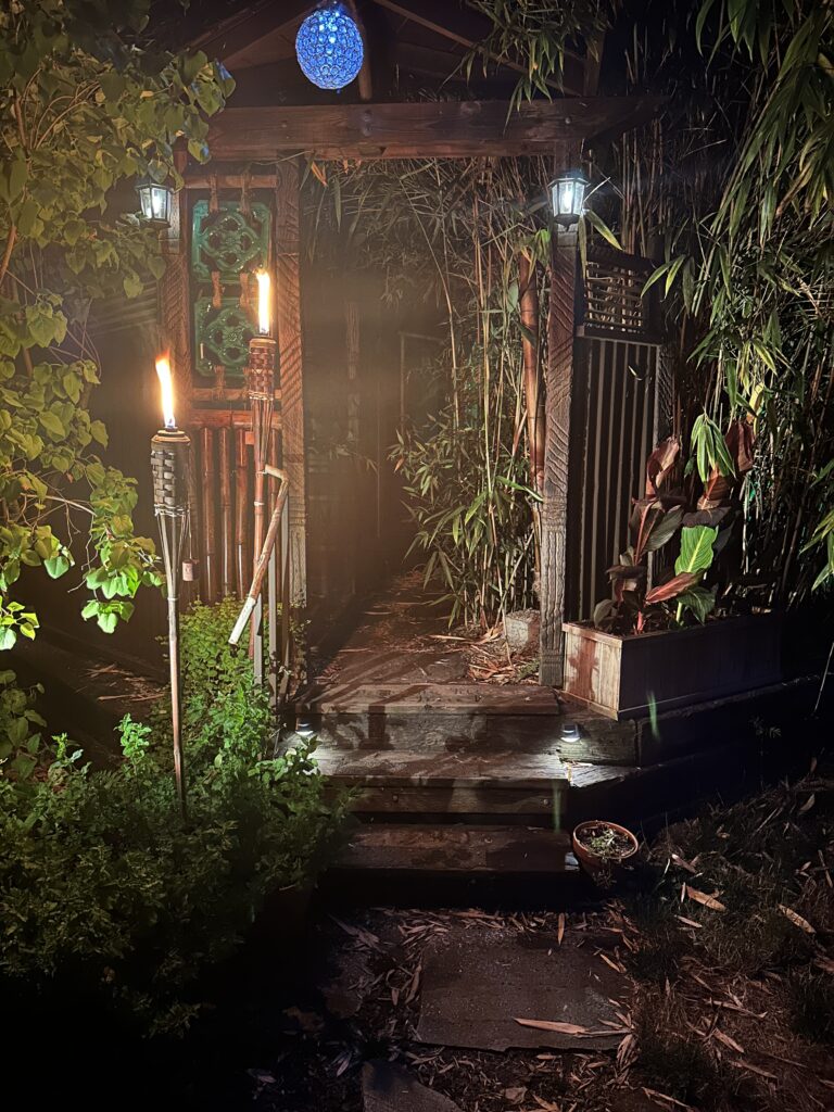 Hidden Jungle Lounge