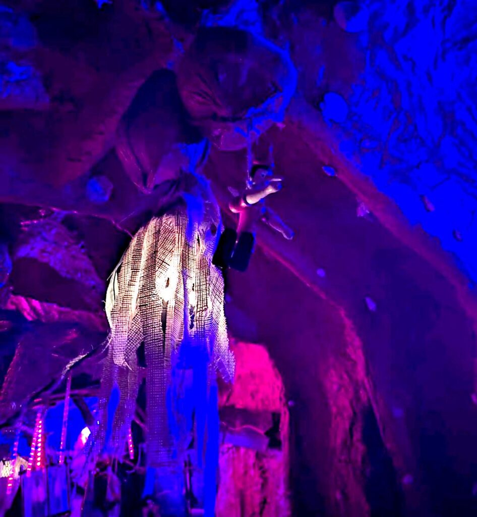 The Belly Of The Beast